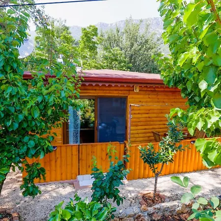 Garden Kas